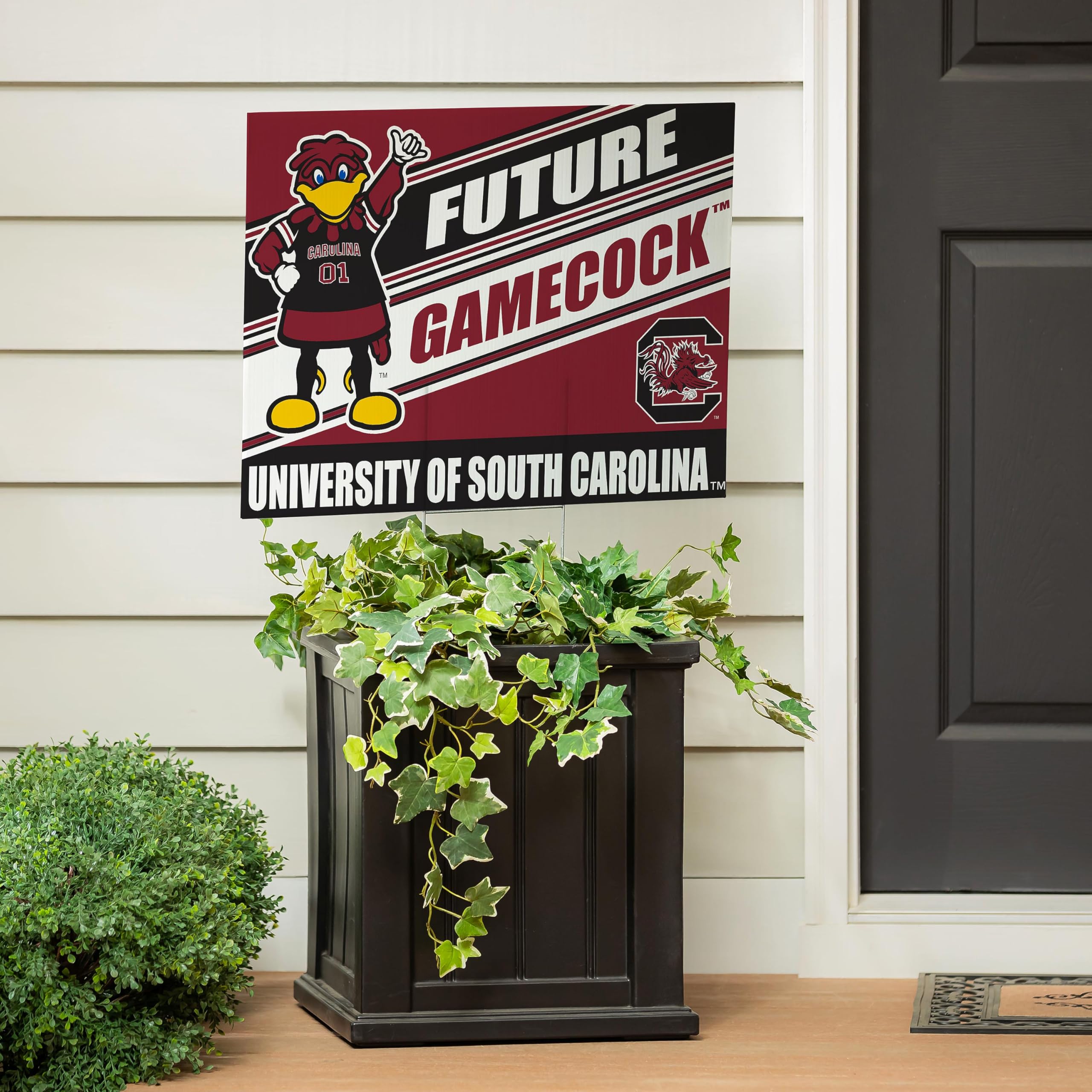 NCAA University of South Carolina Future Student Yard Sign, Outdoor Coroplast College Bound Yard Signs with Stakes 18x24, University Welcome Lawn Sign for Yards, Graduation Party - Image 3