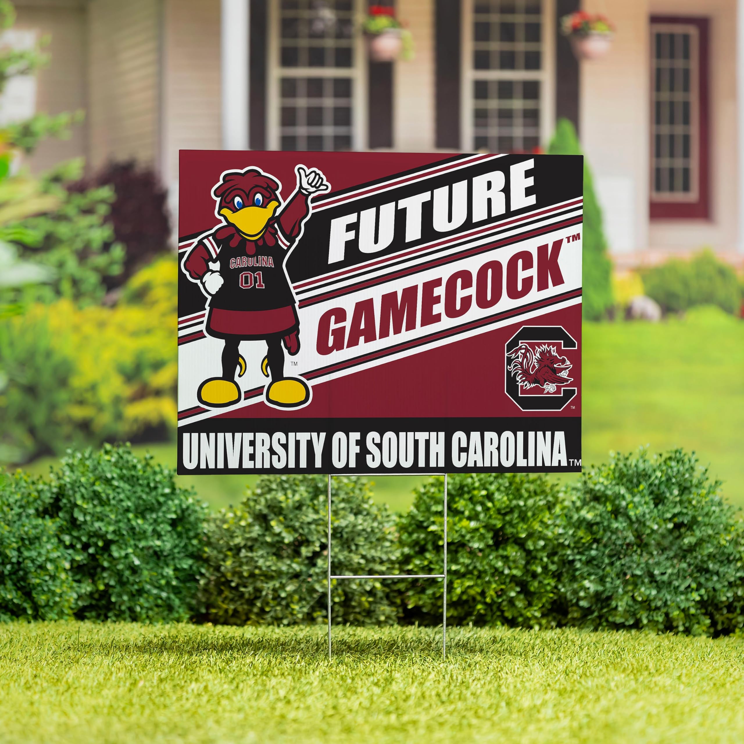 NCAA University of South Carolina Future Student Yard Sign, Outdoor Coroplast College Bound Yard Signs with Stakes 18x24, University Welcome Lawn Sign for Yards, Graduation Party - Image 4