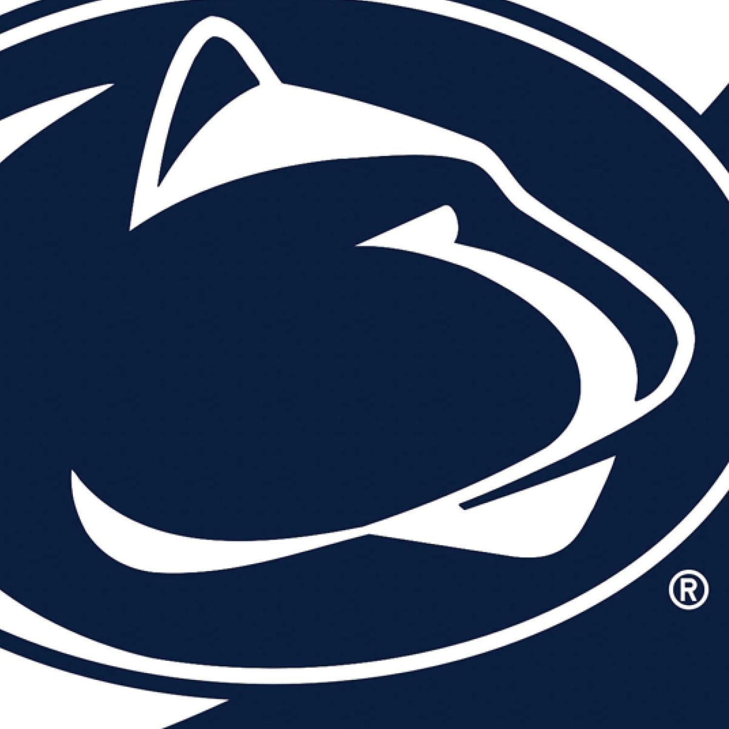 Team Sports America NCAA Penn State House Flag, 28 x 44, Double Sided Garden Flags for Outside, Outdoor College Flags & Banners for Gardens Patio, Indoor Wall Decor Flag for Room - Image 5